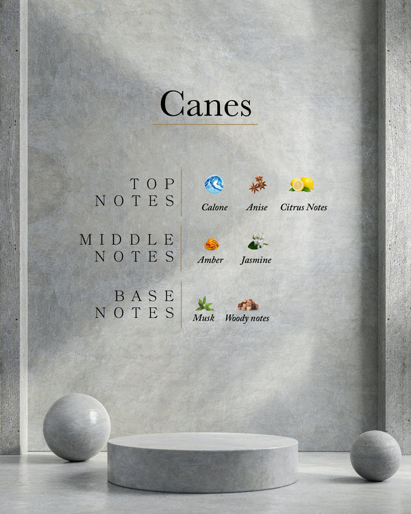 AHLI Canes