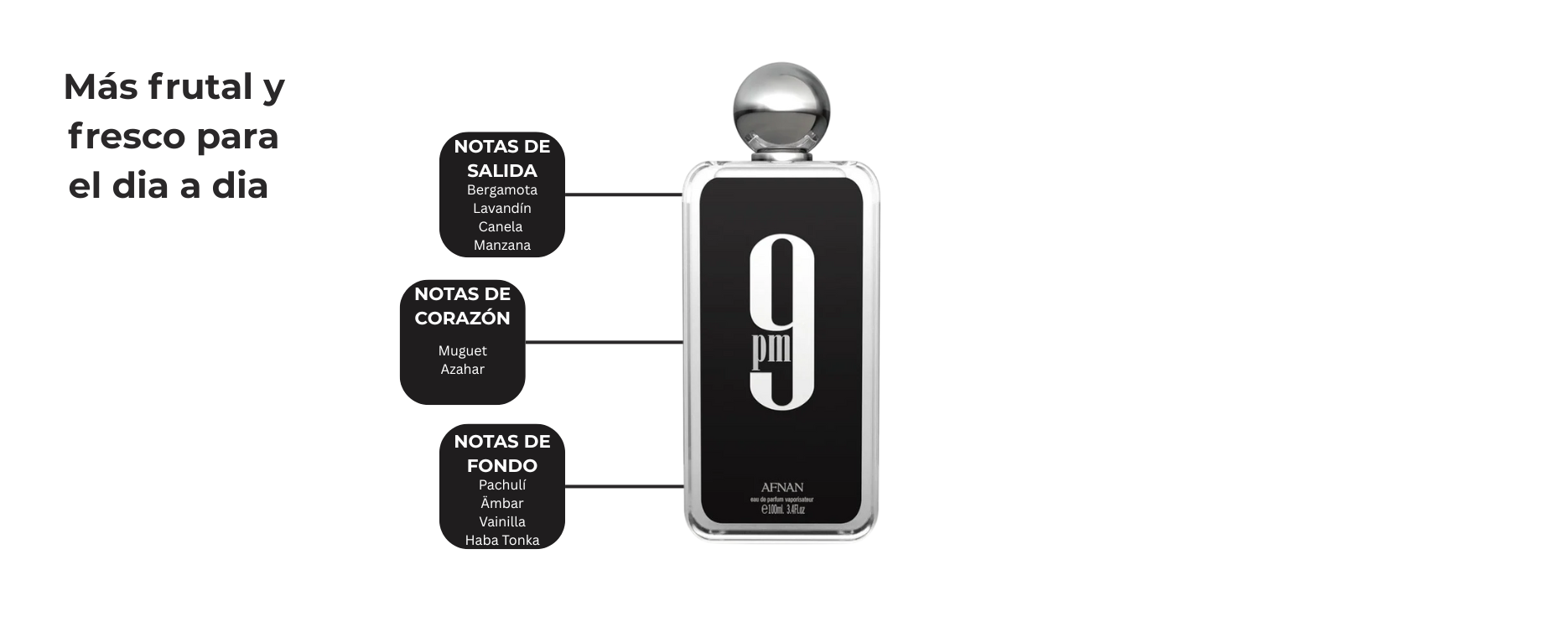 Zenzo Perfumes