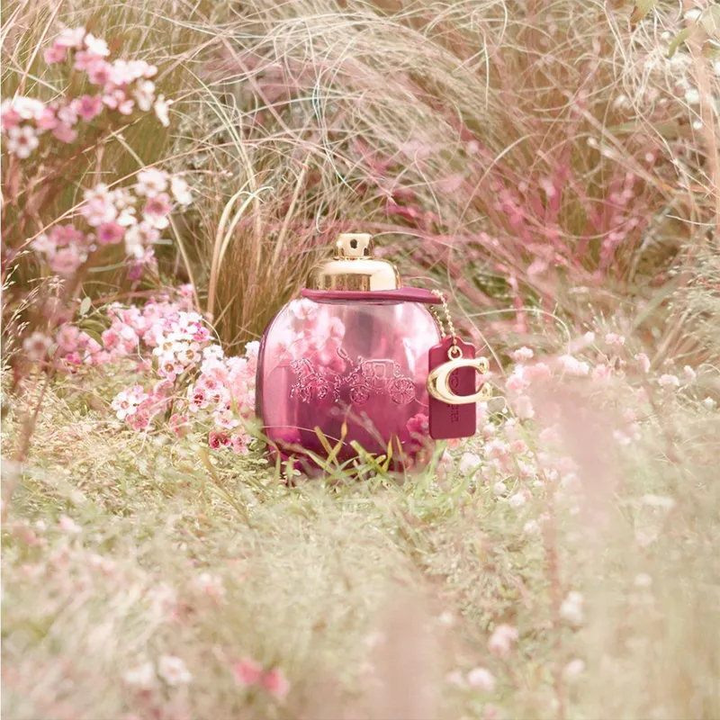 Coach Wild Rose