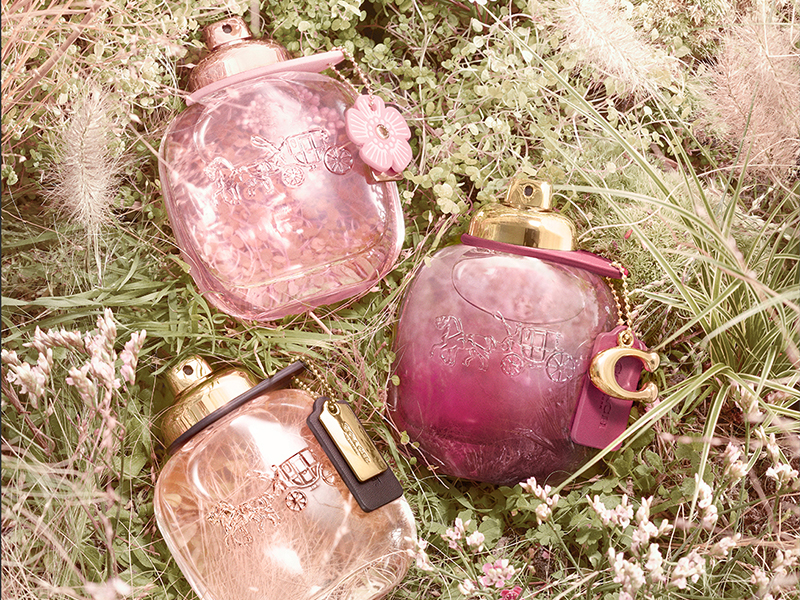 Coach Wild Rose