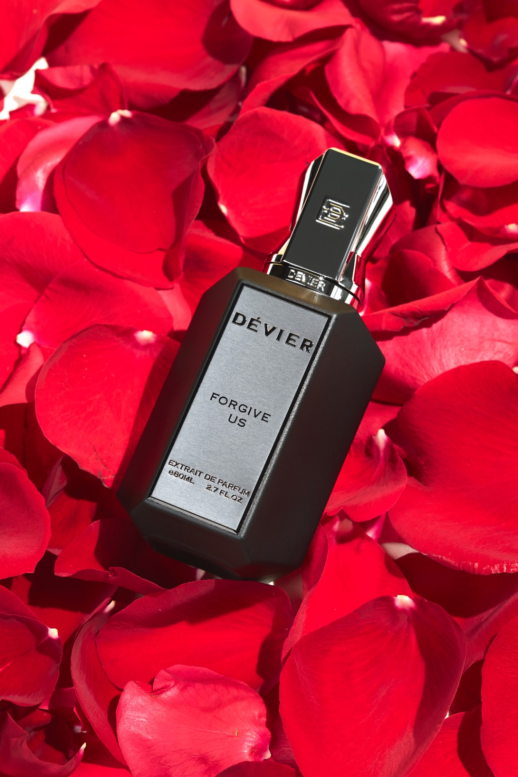 Devier Forgive Us
