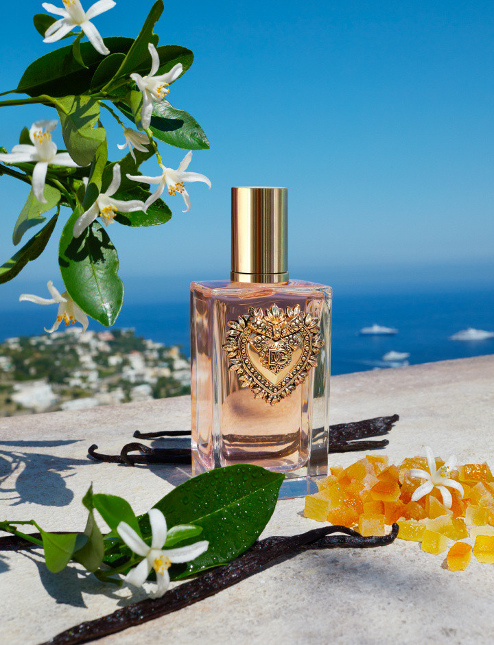 Dolce Gabbana Devotion
