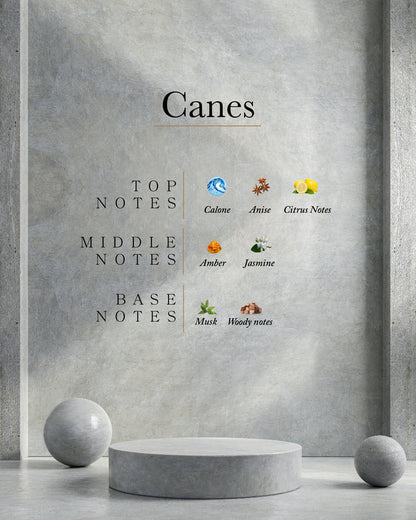AHLI Canes