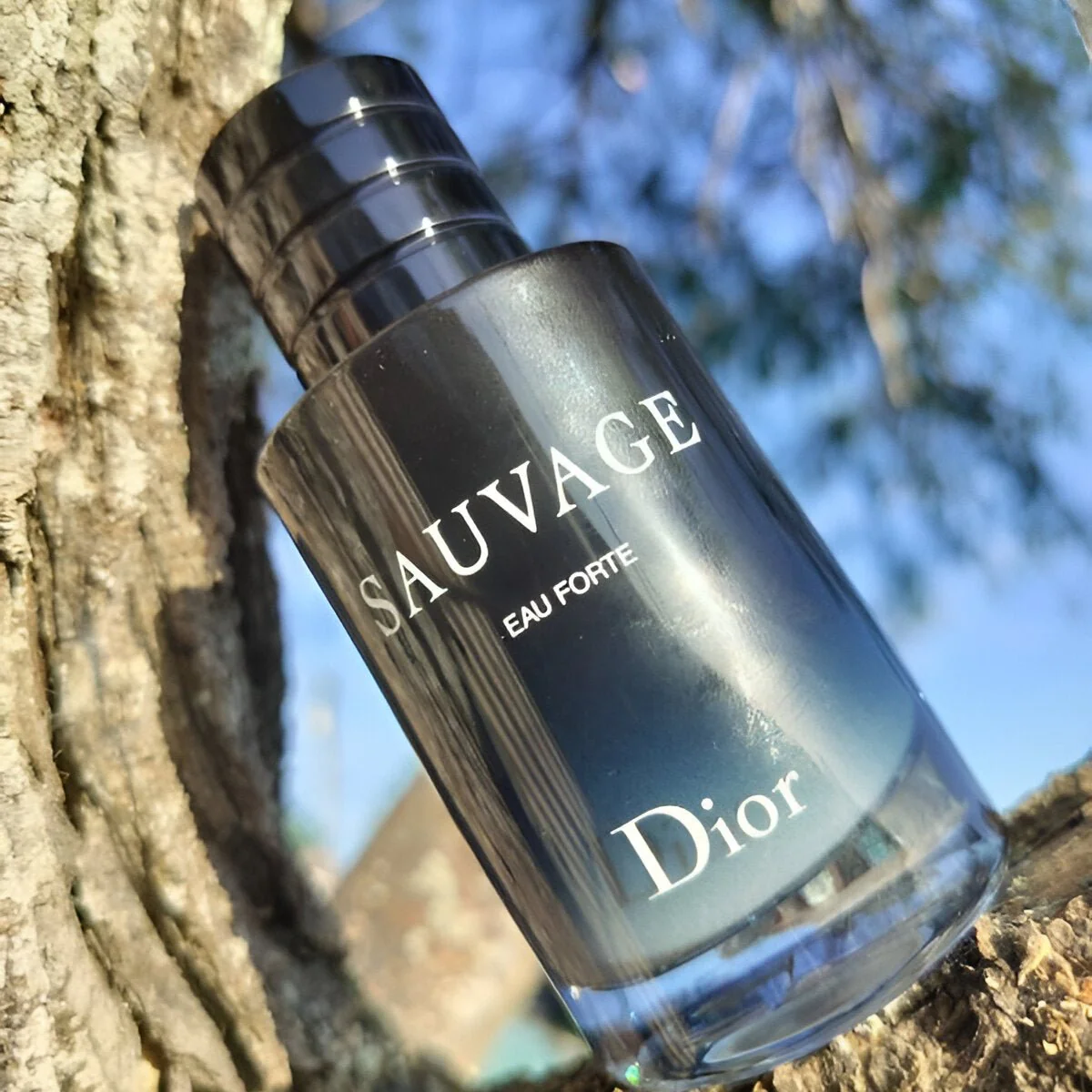 Dior Sauvage Eau Forte