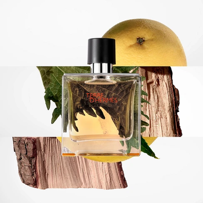 Hermès Terre d’Hermès